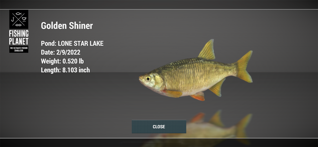 Gameplay